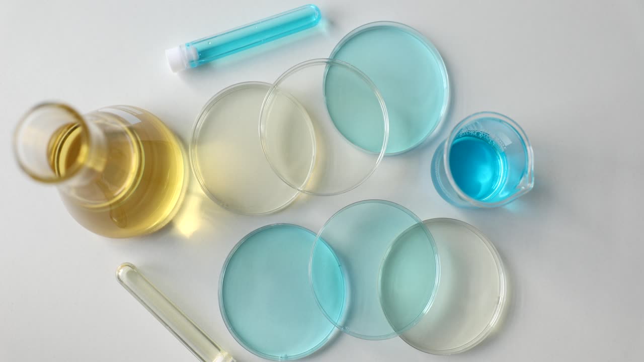 Professional laboratory glassware with liquid on table