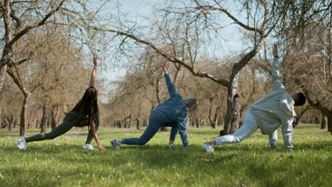 people stretching in the forest