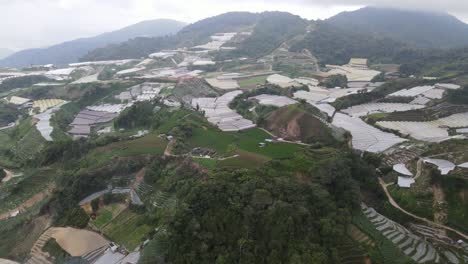 general landscape view of the brinchang district within the cameron highlands area of malaysia