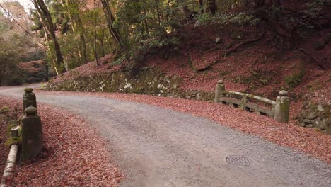 Mountain-Road-in-Japan,-Fall-Leaves-covering-ground-with-moss-covered-walls,-Nara,-Japan