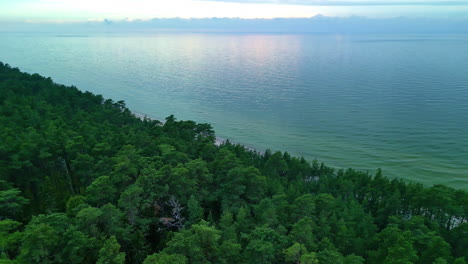 aerial clip of a coastal island area with visible dense forest and clear water in the sea