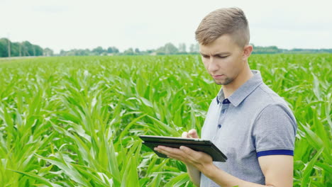 el agricultor trabaja en el campo por la noche antes del atardecer