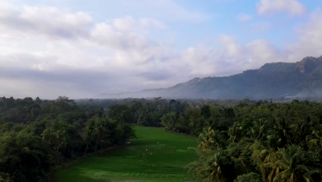 foggy mountain range and exotic palm tree forest bellow in indonesia, aerial view