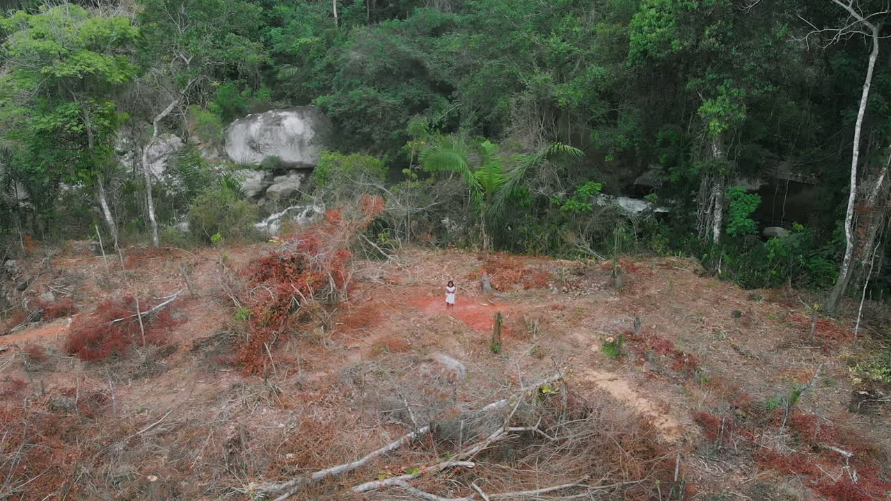 indígena en medio de la deforestación