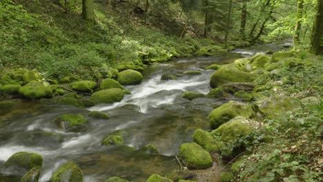 Hermoso-Timelapse-De-Larga-Exposición-Del-Flujo-Lechoso-De-La-Corriente-Del-Río-En-El-Bosque