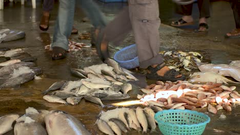 piles of fresh fish on the ground with people walking around on the wet floor