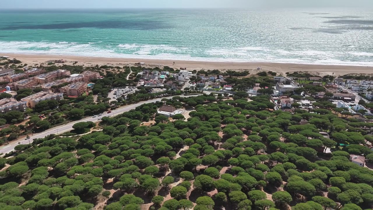 Çam ormanı ve Atlantik Okyanusu dalgalarıyla çevrili Cadiz sahil kasabasının havadan görünümü.