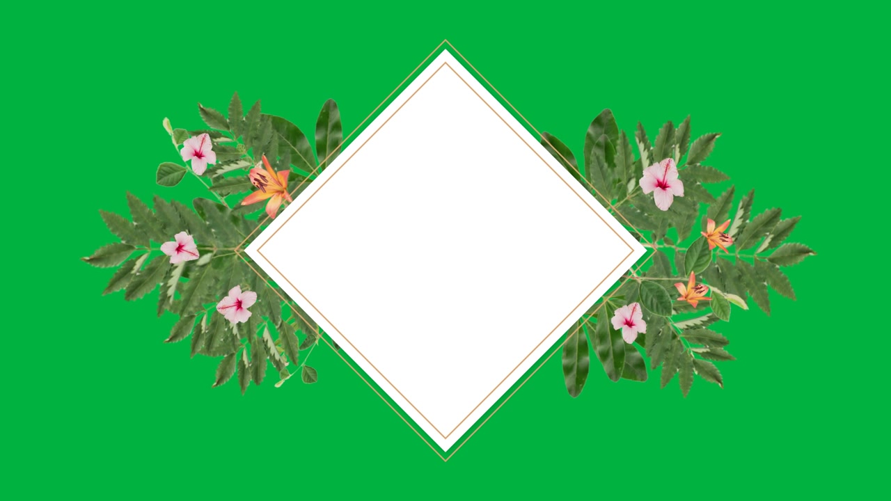 Animated Diamond Frame with Tropical Leaves and Flowers on Green Screen
