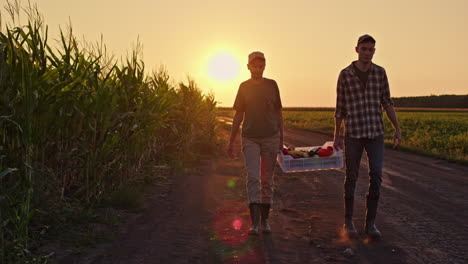 farmers carrying harvest basket at sunset