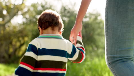 cogidos de la mano, la familia y caminando al aire libre