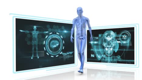 la anatomía humana