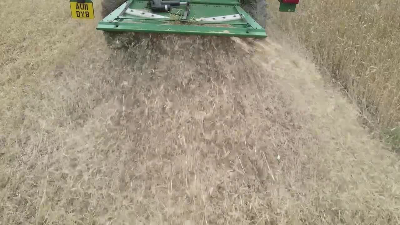 Clip aerea di terreni agricoli che mostra una mietitrebbia che raccoglie il grano attraverso i campi agricoli rurali del Somerset.