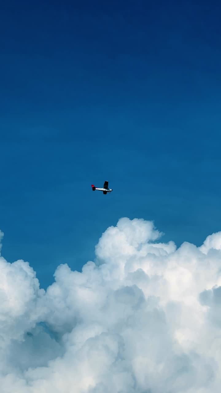 Large white cumulus cloud with airplane and bird. Massive fluffy white cloud against deep blue sky with small plane and bird flying in distance