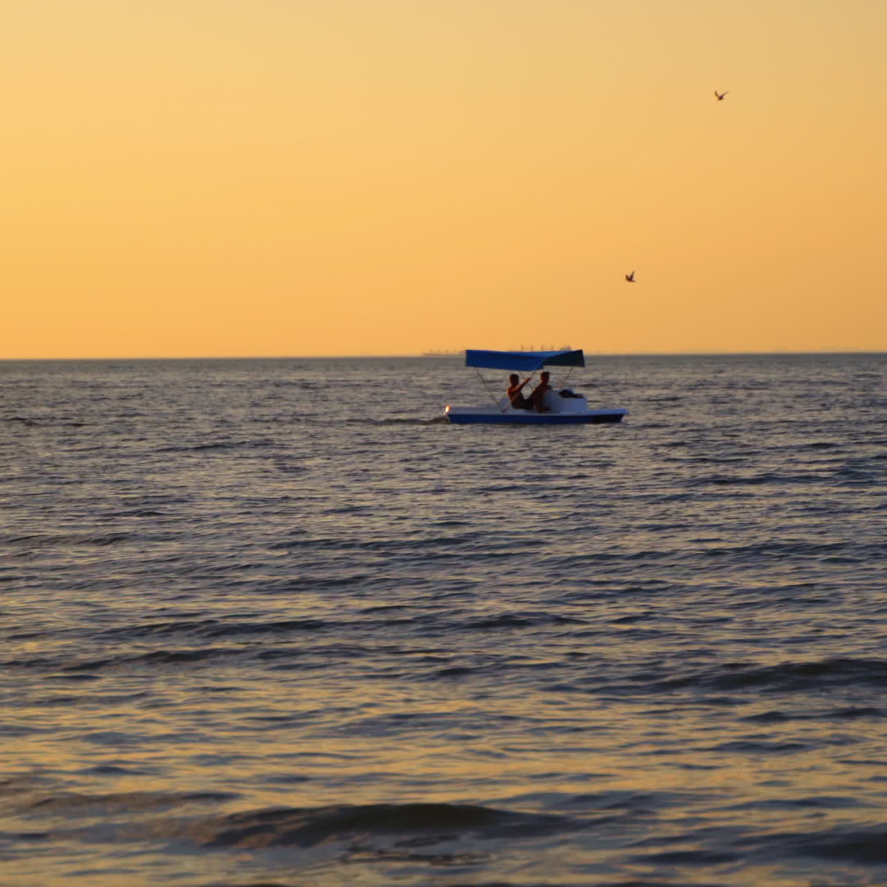 Catamaran on sea background at sunset. Men sailing in a blue catamaran on sea in the evening.
