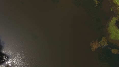 a slow top down flyover of a muddy lake