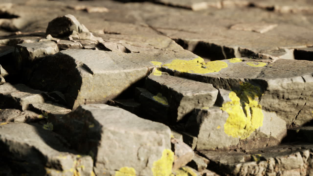 바위 돌 형성이 가까이 있습니다.