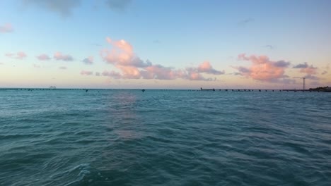 Pelicans-float-and-play-in-the-ocean-in-Key-West,-Florida,-as-the-sun-sets-in-crisp-4K-resolution