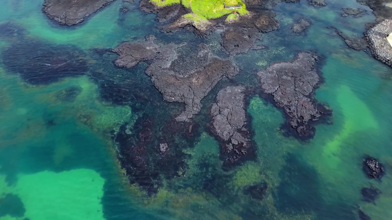 Aerial top-down descent over Singgyemul Park Jeju Island reveals volcanic basalt lava rocks emerging from crystal clear emerald shallow tidal waters