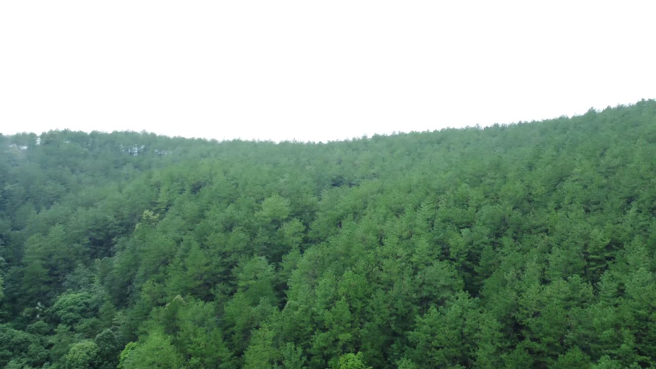 Drone video of Meghalaya's natural beauty.