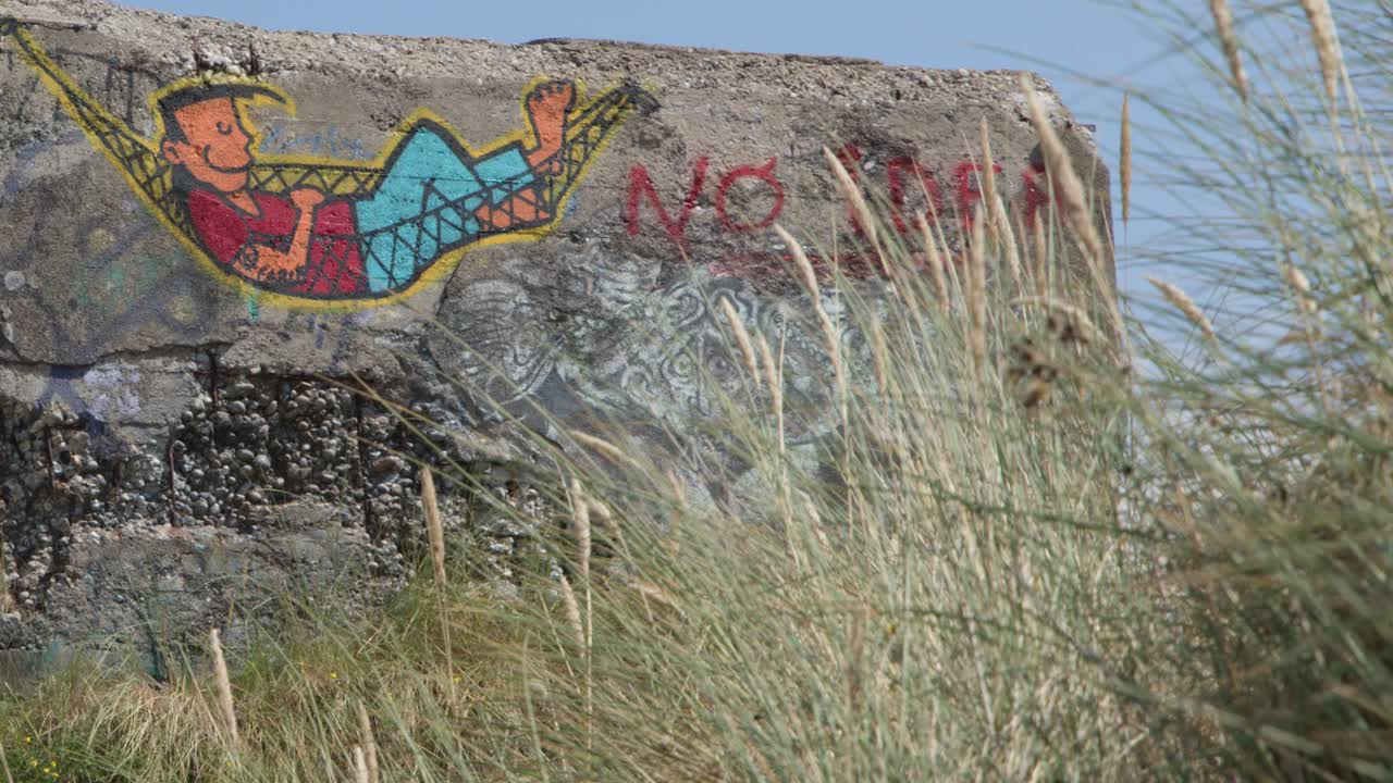Tall grass sways, uncovering colorful hammock graffiti on abandoned seaside bunker in daylight