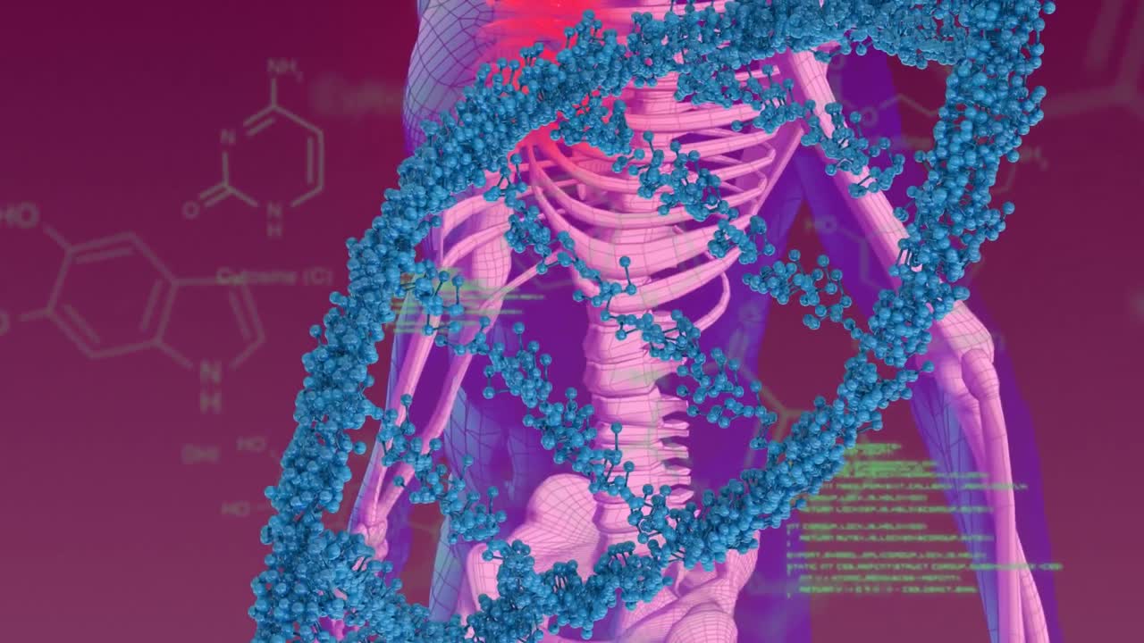 dna 가닥과 디지털 인간 화학 공식의 애니메이션 보라색 배경에