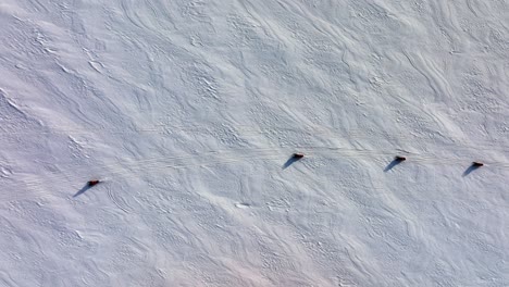 Aerial-top-view-over-people-riding-snowmobiles-on-the-frozen-ground-of-Myrdalsjokull-glacier-in-Iceland