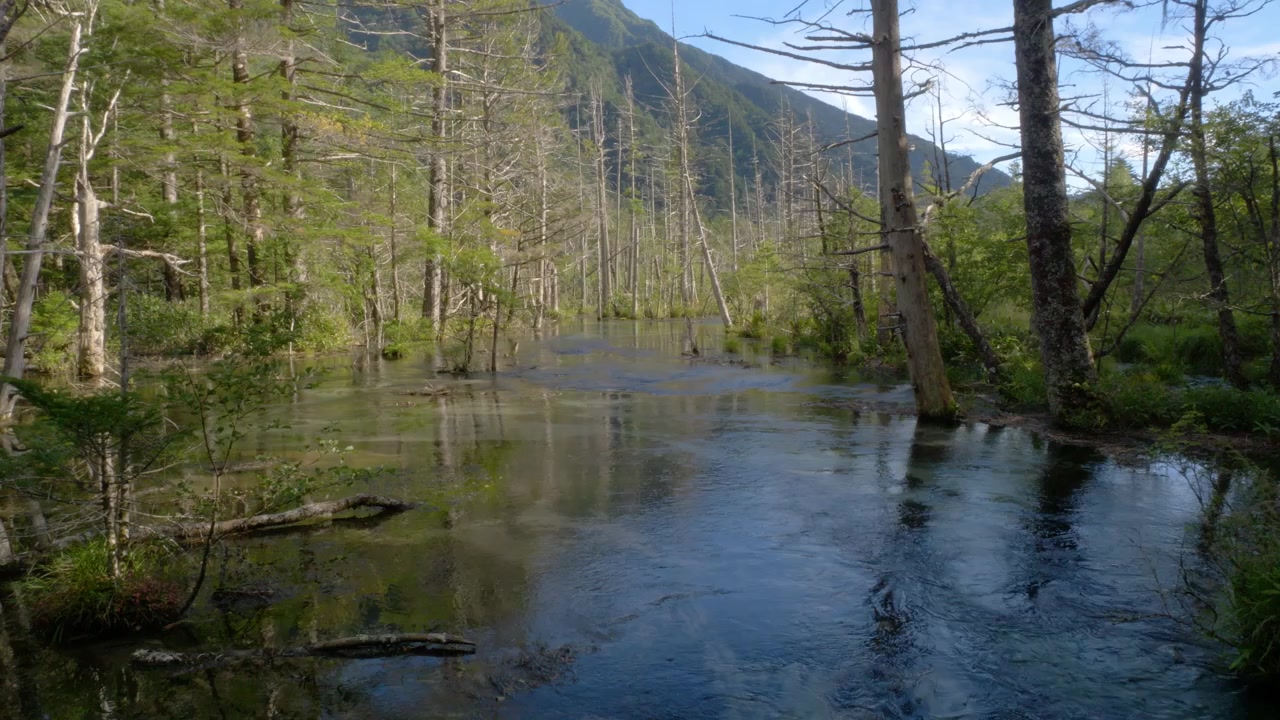 Dakesawa Marshland In Kamikochi, Japan Within Chubu Sangaku National Park In Japan. - wide shot