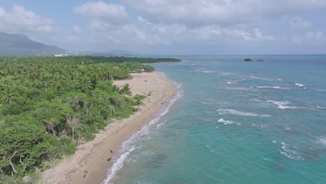 vista panorámica de la playa punta bergatín en puerto plata, mostrando las olas y la exuberante vegetación