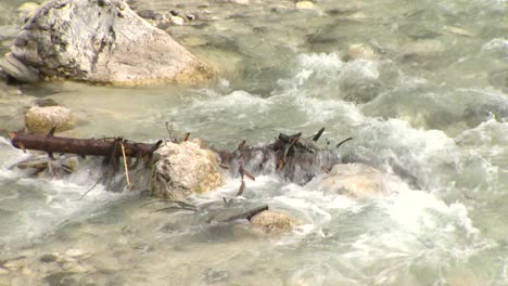 Treibholz-Gefangen-In-Stromschnellen,-Nahaufnahme-Statischen-Ladens-Von-Zweigen-In-Der-Wasserströmung