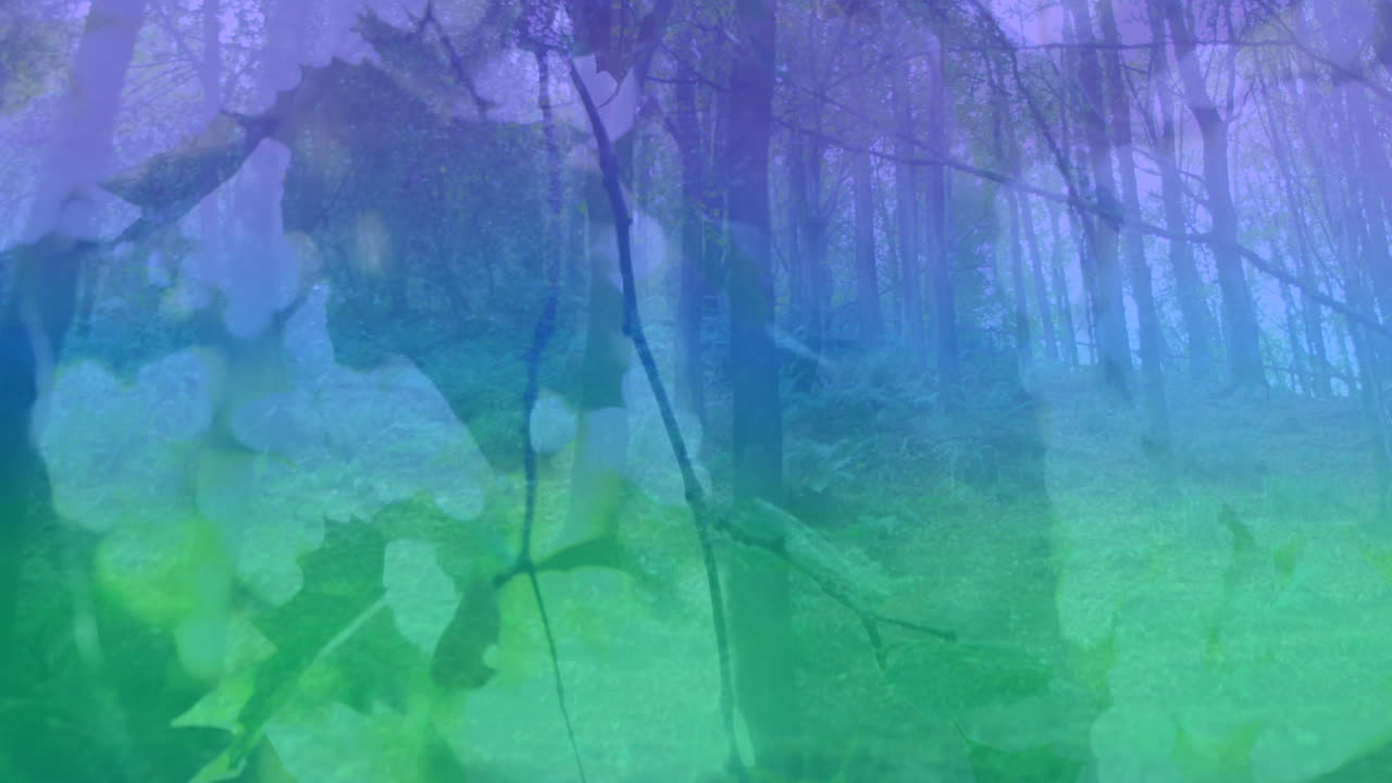 animación de luz colorida sobre el bosque y las hojas