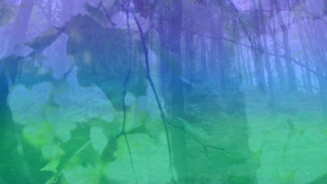 animación de luz colorida sobre el bosque y las hojas