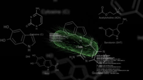 estructuras moleculares animadas y procesamiento de datos sobre una bacteria verde sobre un fondo negro