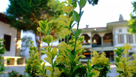 Cakiraga-Mansion-in-Turkey-slow-motion