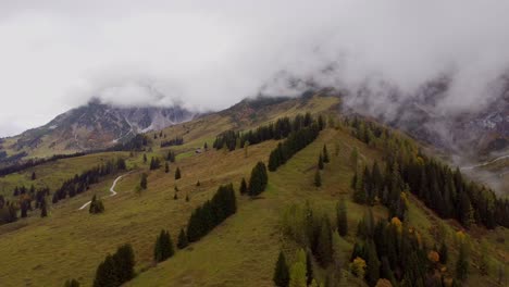 Spectacular-aerial-shot-of-Austrian-forest-trees-mountain-landscape-in-Autumn-fall