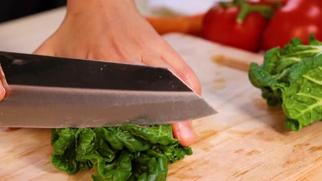 hands chopping fresh baby bok choy on board