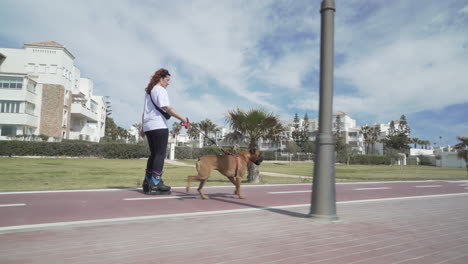 girl in line skate with her dog