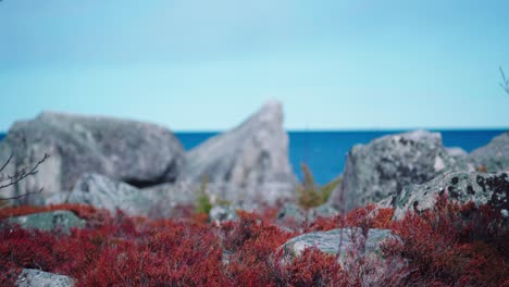 Swedish-Archipelago-in-spring