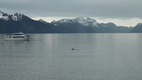 Campamento-De-Seward-Mirando-Hacia-El-Océano-Y-Mirando-Las-Ballenas-En-El-Océano