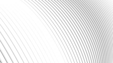 abstract pattern of circle shape with the effect of move. white clean rings animation.