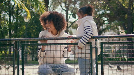 family looking flying pigeons at fence sunny park. girl watching birds