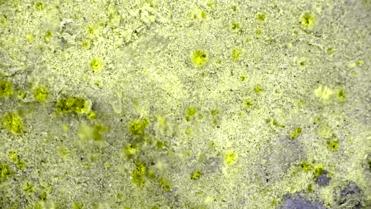 el rizado de las pinturas