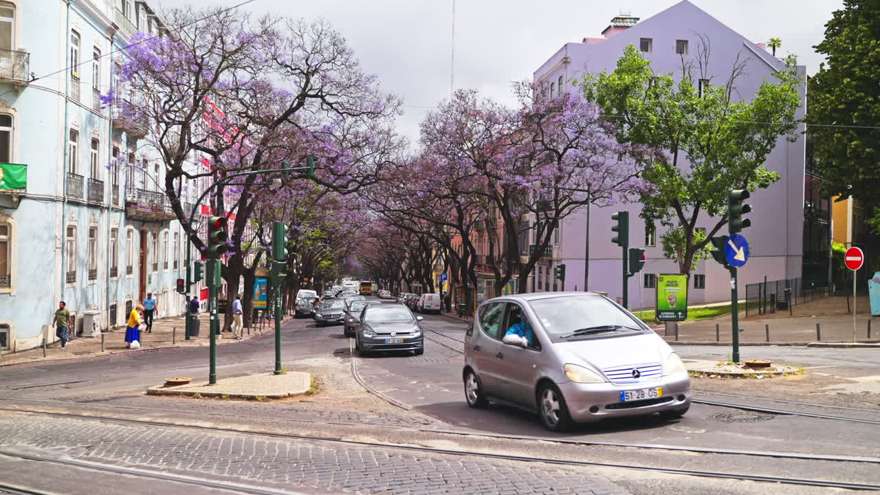 꽃이 피는 자카란다 나무 와 함께 리스본 거리 장면
