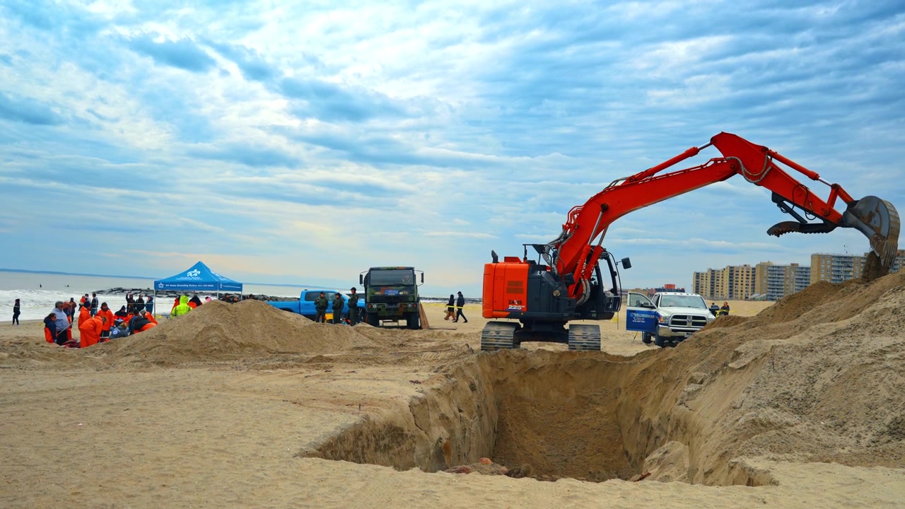 New York, USA, 1. april 2026: Gravemaskine og bevaringsteam ved hvalbegravelsessted på strand. Tung orange gravemaskine nær en stor grube med telte og lastbiler fra havbevaring på en strandbaggrund