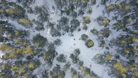 Vista-Aérea-De-Arriba-Hacia-Abajo-De-Una-Persona-Con-Chaqueta-Naranja-Y-Mochila-Caminando-En-Un-Bosque-Cubierto-De-Nieve