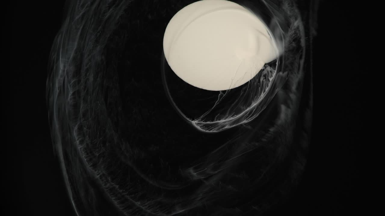 Delicacies of White upon pure black black black - an all natural AbstractVideoClip