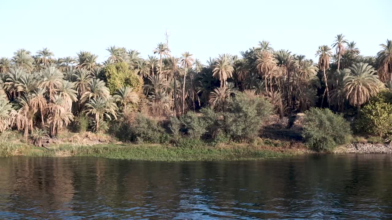crucero por el río nilo en egipto en un crucero con vistas a las palmeras al atardecer.