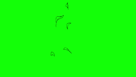 Pflanzenblätter,-Baumblätter,-Die-Auf-Wind-Fliegen,-Symbolschleife,-Animationsvideo,-Transparenter-Hintergrund-Mit-Alphakanal