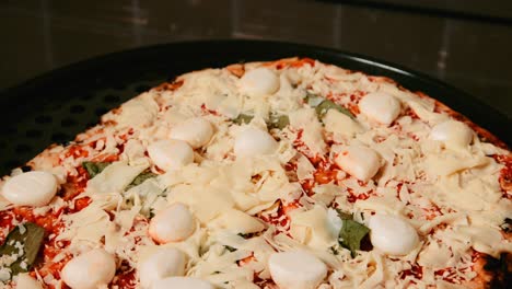 slow pan of buffalo mozzarella pizza with basil and tomato base ready to go in oven