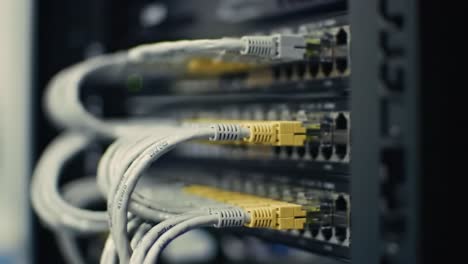 technicians perform routine maintenance in a data center by organizing and connecting network cables to ensure optimal performance. this activity enhances network reliability and efficiency.