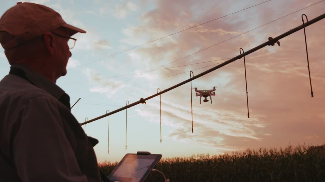 대규모 채소 농장에서 드론으로 옥수수 수확을 모니터링하는 농부의 4k 실루 해가 뜨는 모습